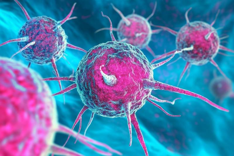 Рак поражает одни органы чаще других