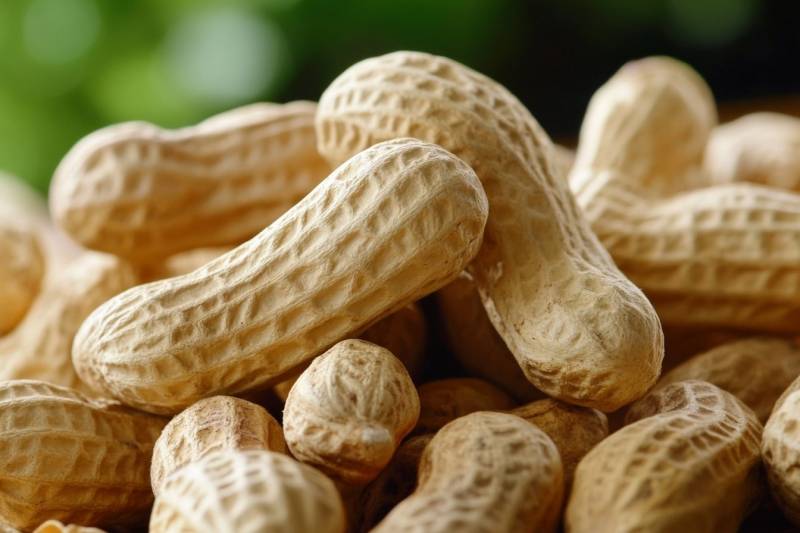 Арахис снижает риск развития сердечно-сосудистых заболеваний‍