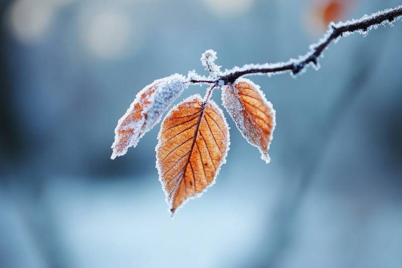 Как поддержать организм в условиях холодного лета