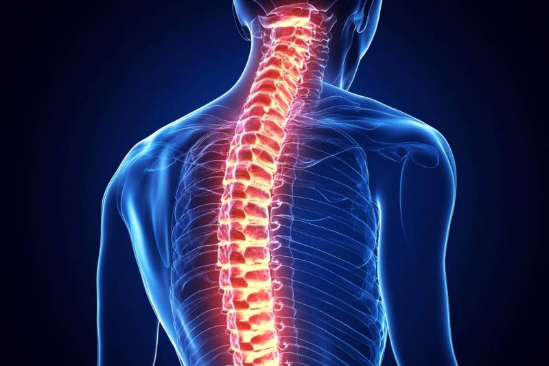 Как восстановить спинной мозг после травмы