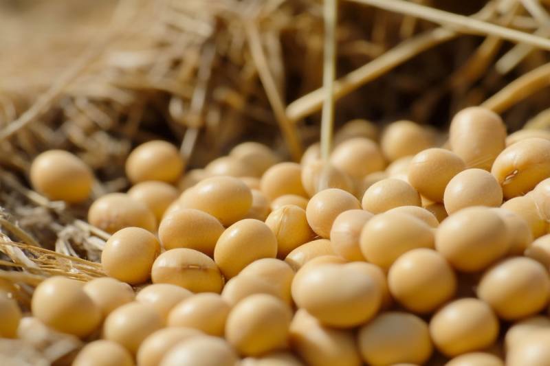 Продукт, который приводит к бесплодию мужчин