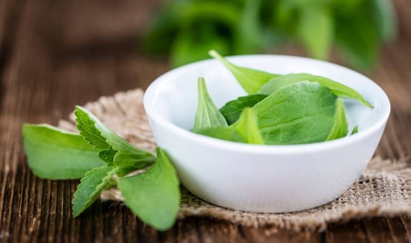 Стевия может помочь против