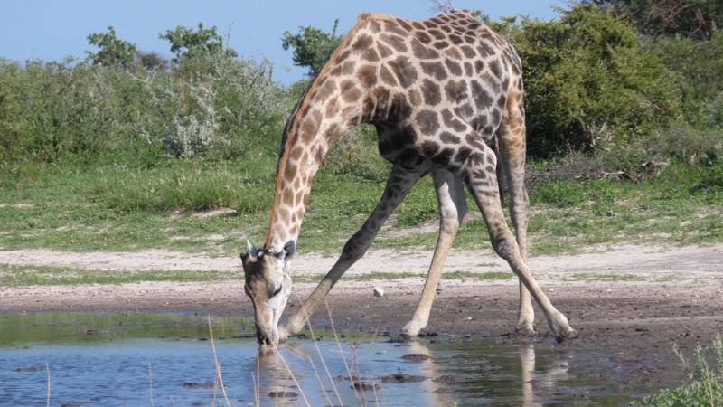 Удивительная причина, по которой